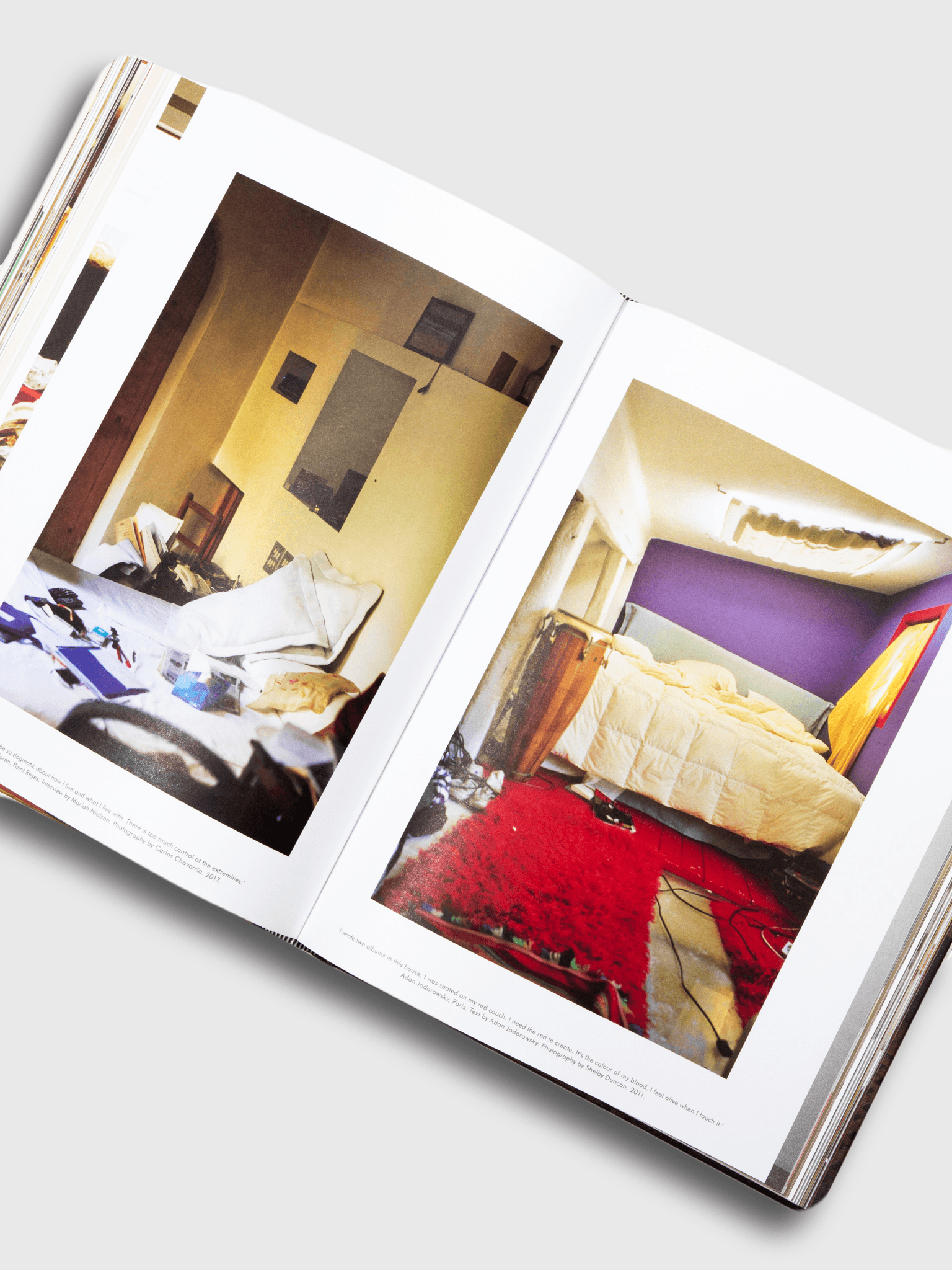 Bi-Rite Studio The World of Apartamento 10 Years of Everyday Life Interiors ISBN 1-4197-2892-X book